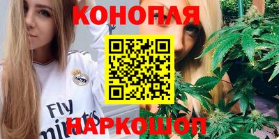 прущие крисы Изобильный