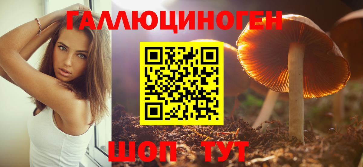 Псилоцибиновые грибы прущие грибы  Вход с VPN  Жуковский 